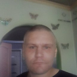 �������, 41 ���, �������