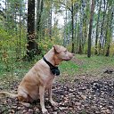  , -, 60  -  29  2024    