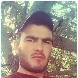 ���� �������, �����-���������, 31 ��� - ��������� 1 ������ 2023