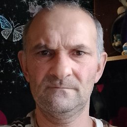 ������, ��������, 49 ���