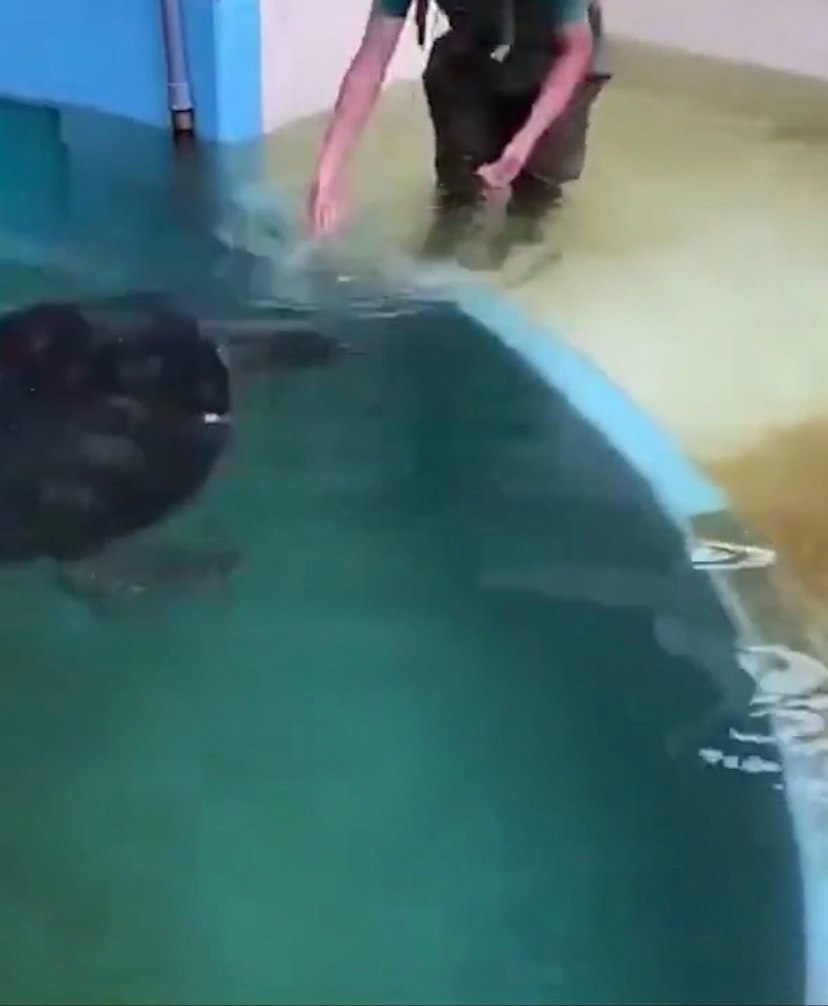 ape epea ec epe ooa, oo epea oe ce   pocoe. ... - 2