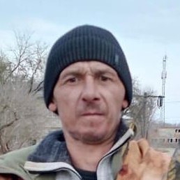 ����, ������, 41 ���