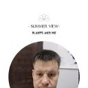 ���� ����, ��������, 45 ��� - ��������� 2 ������� 2024 � ������ ���� ����������