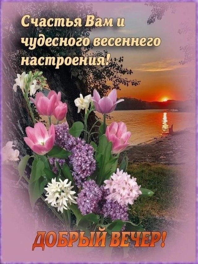   ,    . - 14  2025  17:38