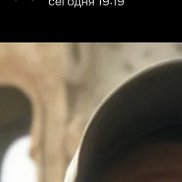 �����, 38 ���, ����