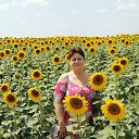 ���� �����, �����, 64 ���� - ��������� 30 ���� 2026