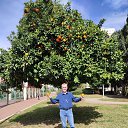 ���� ���������, ������������, 58 ��� - ��������� 29 �������� 2025