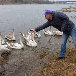 �������, �������, 49 ���