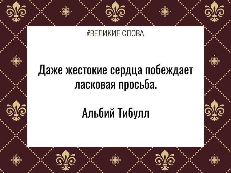 ������� ����� | ������, ����� � �������� - 4 ����� 2026 � 15:36