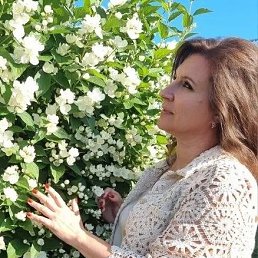, 53, 