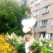 ������, 39 ���, ������