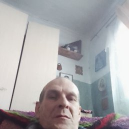 ������, 51 ���, ����������