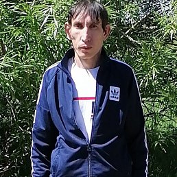 , 45 , 