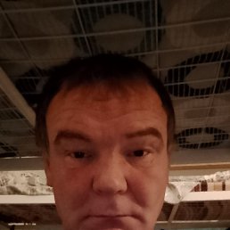 ������, 47 ���, ����