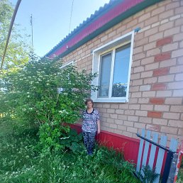 ���� ����, ��������� - ��������� 7 ����� 2026