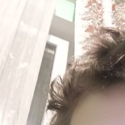 ������, 20 ���, ���������