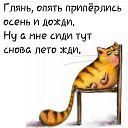 ���� �������, �������, 65 ��� - ��������� 18 ������� 2024 � ������ ���� ����������