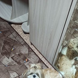 ����, ������, 37 ���