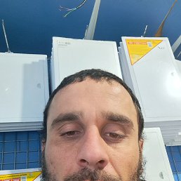 , 31, 