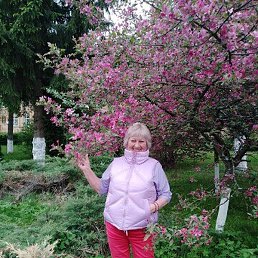 �������, ������, 69 ���