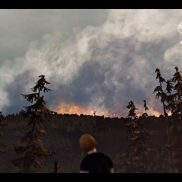 Ppldx, �����������, 18 ���