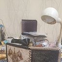 ���� �������, ������, 46 ��� - ��������� 14 ������ 2026