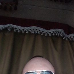 ������, 46 ���, �����