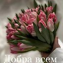 ���� �����, ��������, 56 ��� - ��������� 10 ����� 2026 � ������ ������ ��������