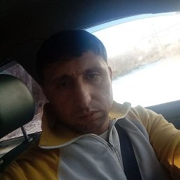 ����, ����, 41 ���