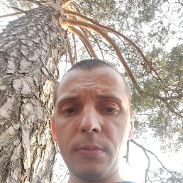 ���� �������, ������, 34 ���� - ��������� 3 ���� 2025