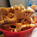 ���� �������, ��������, 58 ��� - ��������� 16 ������� 2024 � ������ ���� ����������