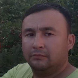 �����, �����������, 33 ����