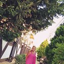 ���� ������, ������ �������� - ��������� 10 �������� 2024