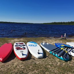 ���� ������� ������, ������, 64 ���� - ��������� 24 ���� 2024