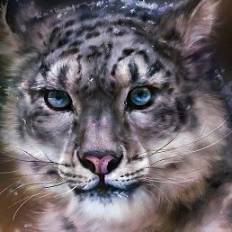 �����, ���������, 64 ����