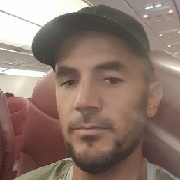 ������, ������, 33 ����