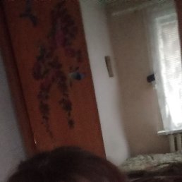 ���� ������, ������������, 44 ���� - ��������� 27 ������� 2023