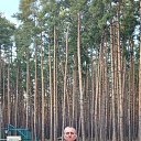 ���� ������, ����, 46 ��� - ��������� 31 ������� 2025