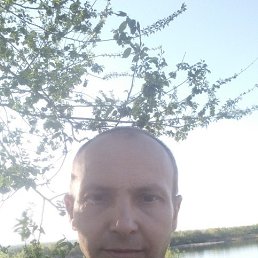 , 41, 