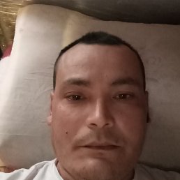 , 36, 