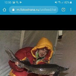 ����� Li, ������, 52 ����