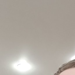 ������, �����������, 41 ���