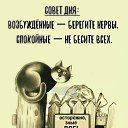 ���� &hearts;, ���������� - ��������� 12 ������ 2026 � ������ ������ ��������