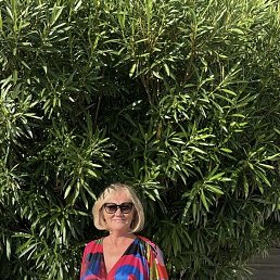 , 59, 