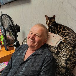 , 57, 