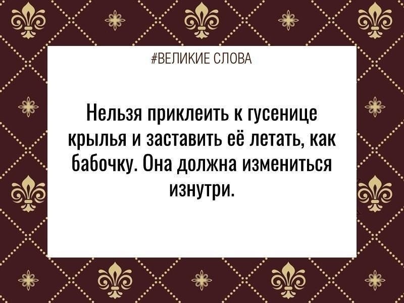 ������� ����� | ������, ����� � �������� - 25 ������ 2026 � 23:48