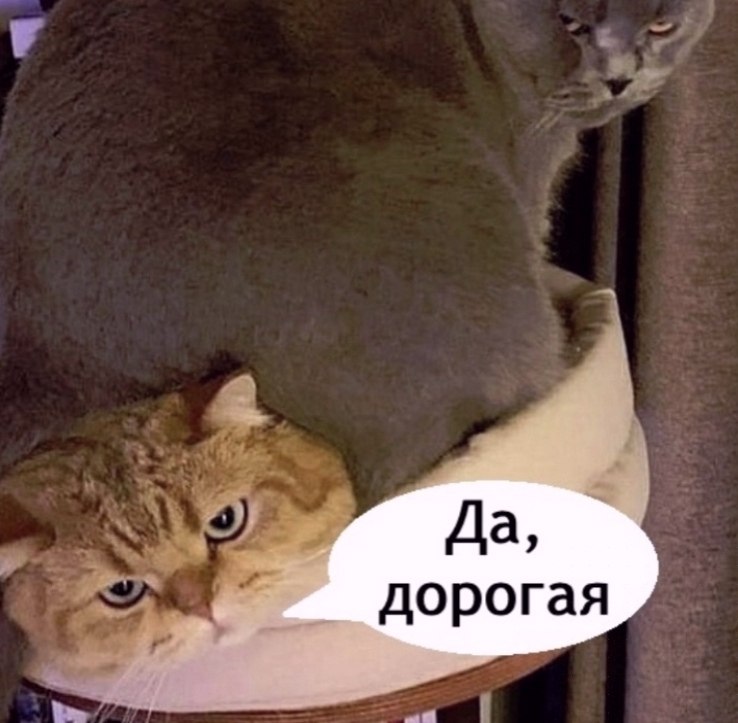 ea... eepoe  - 5