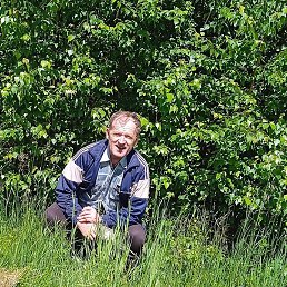 �������, ������, 64 ����