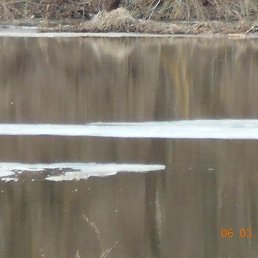 �������, ������, 47 ���