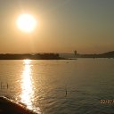 ���� �������, ������, 44 ���� - ��������� 29 ������� 2025 � ������ ���� ����������